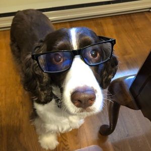 Meet your Posher, Brendan